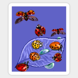 A group of lady bugs is called a loveliness - purple background Sticker